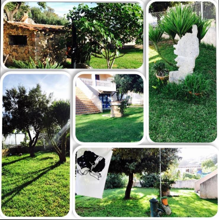 Appartement corse olmeto Olmeto  Dış mekan fotoğraf