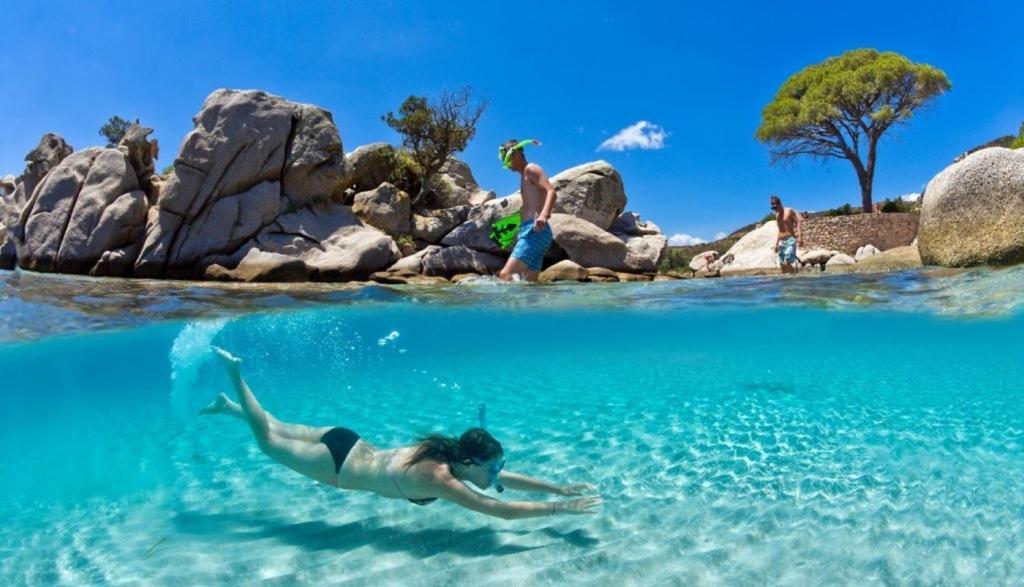 Appartement corse olmeto Olmeto  Dış mekan fotoğraf